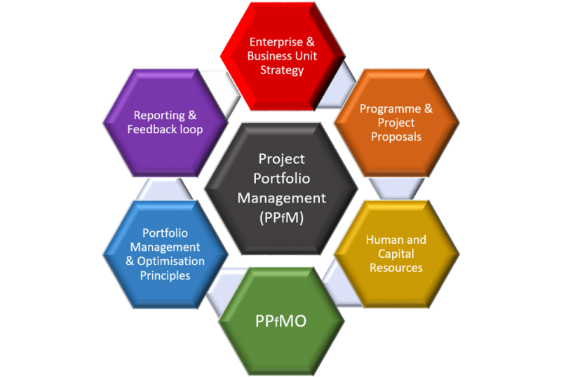 Project portfolio management figure